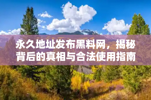 永久地址发布黑料网,揭秘背后的真相与合法使用指南 永久地址发布黑料网,揭秘背后的真相与合法使用指南