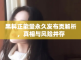 黑料正能量永久发布页解析，真相与风险并存