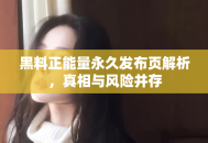 黑料正能量永久发布页解析，真相与风险并存