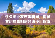 永久地址发布黑料网，揭秘背后的真相与合法使用指南