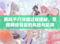 黑料不打详细过程揭秘，警惕网络背后的风险与陷阱
