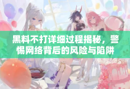 黑料不打详细过程揭秘，警惕网络背后的风险与陷阱