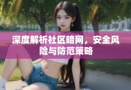 深度解析社区暗网，安全风险与防范策略