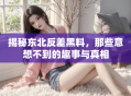 揭秘东北反差黑料，那些意想不到的趣事与真相