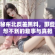 揭秘东北反差黑料，那些意想不到的趣事与真相