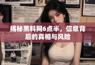 揭秘黑料网6点半，信息背后的真相与风险